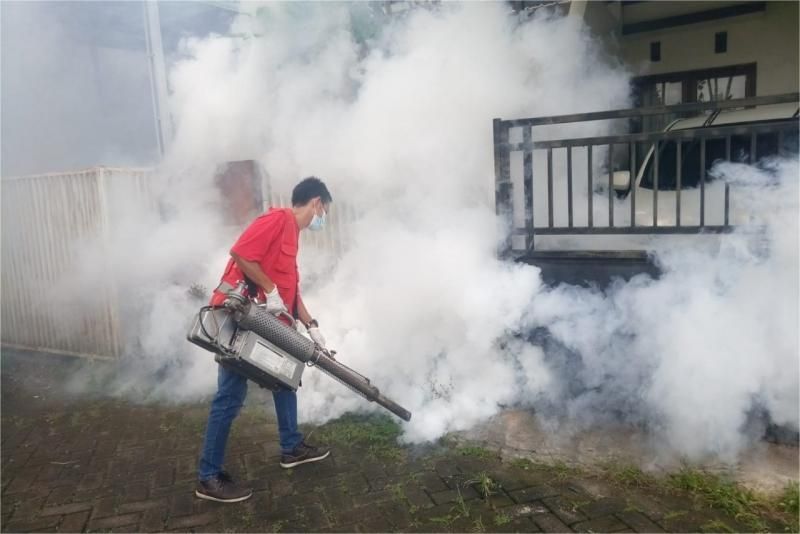 Waspada Lonjakan Kasus DBD Saat Musim Hujan Kemenkes Beri Peringatan Penting